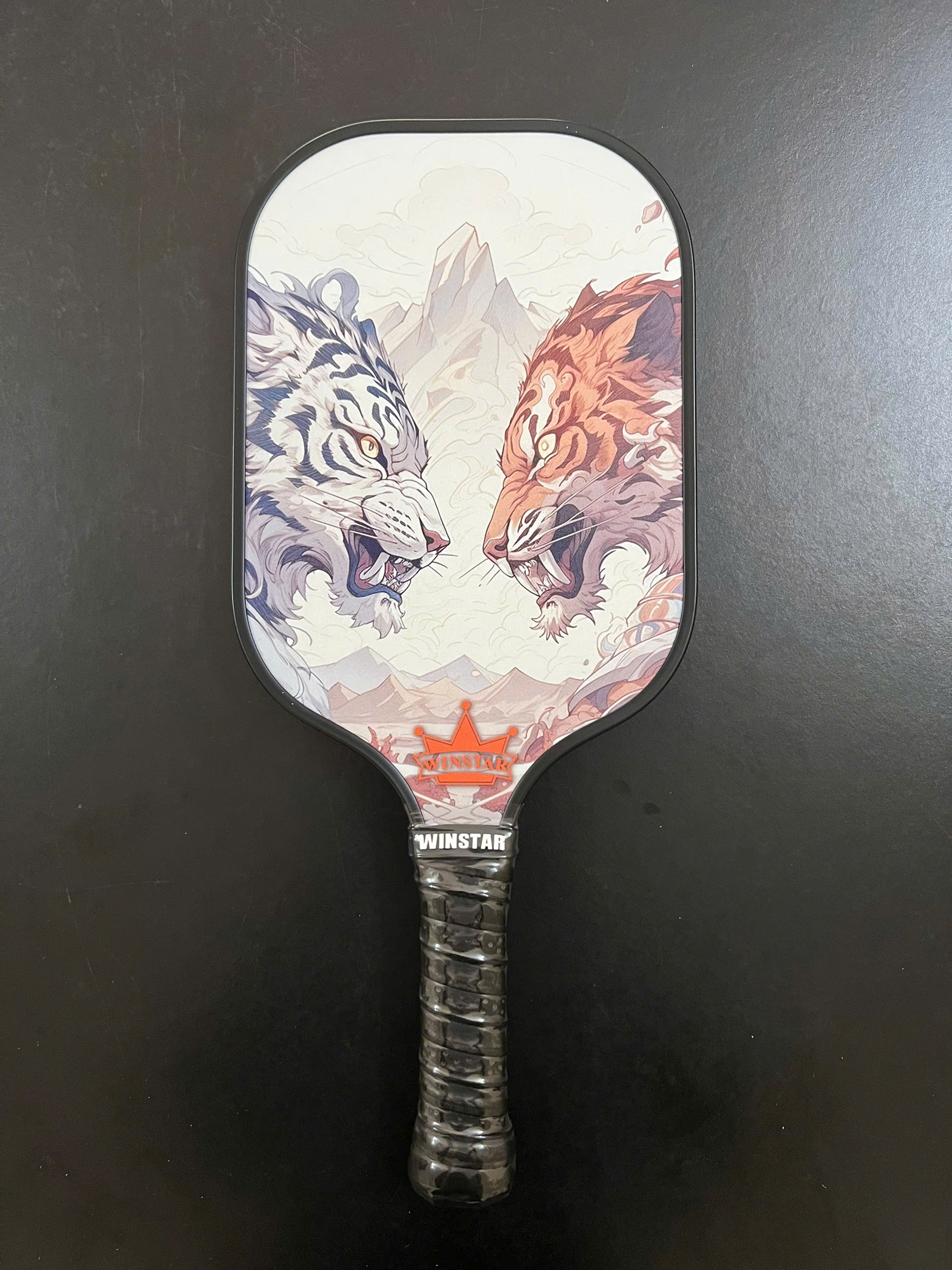 VỢT CẶP PICKLEBALL WINSTAR FIBER CARBON .